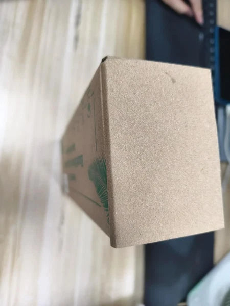 Back Brush Long Handle for Shower,Back Bath Brush for Shower Back Scrubber 20.5”