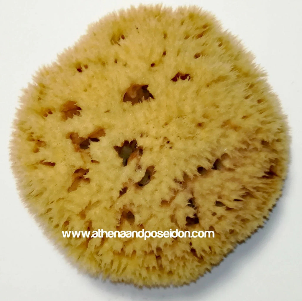 Honeycomb Natural Sea Sponge From Kalymnos - Greece for shower, Processed by Me.