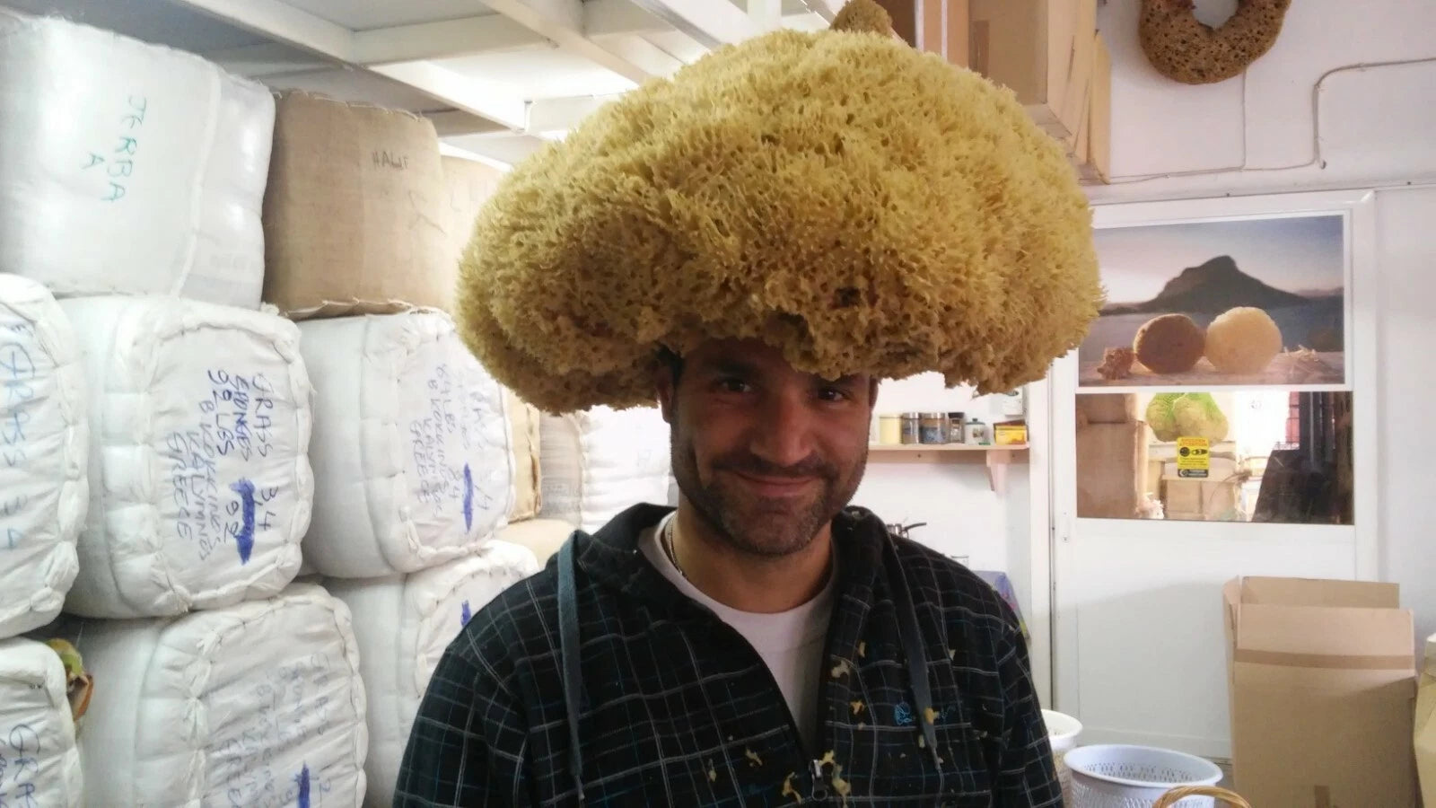 Honeycomb Natural Sea Sponge From Kalymnos - Greece for shower, Processed by Me.