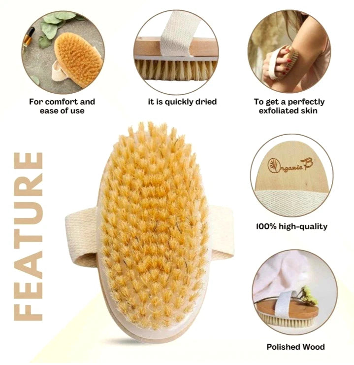 Natural  Body Scrub Bristle Brush for Dry Skin Exfoliating Dry Skin Brush
