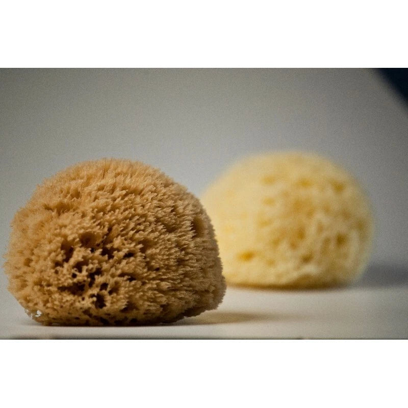 Honeycomb Natural Sea Sponge From Kalymnos - Greece for shower, Processed by Me.
