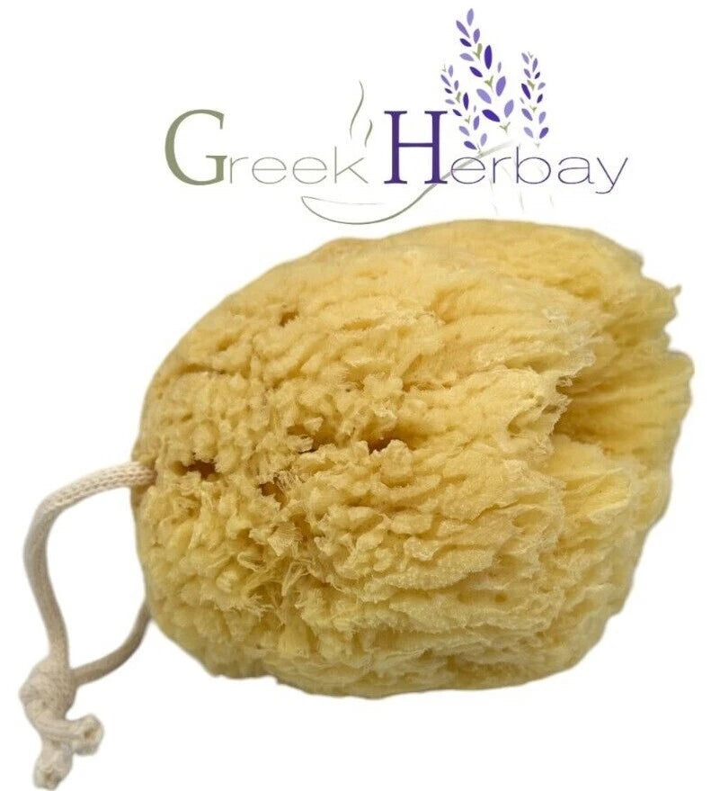 Natural Dried Greek Sea Sponge 5.0"-5.50" inches(12-14cm) Kalymnos Bath Shower|