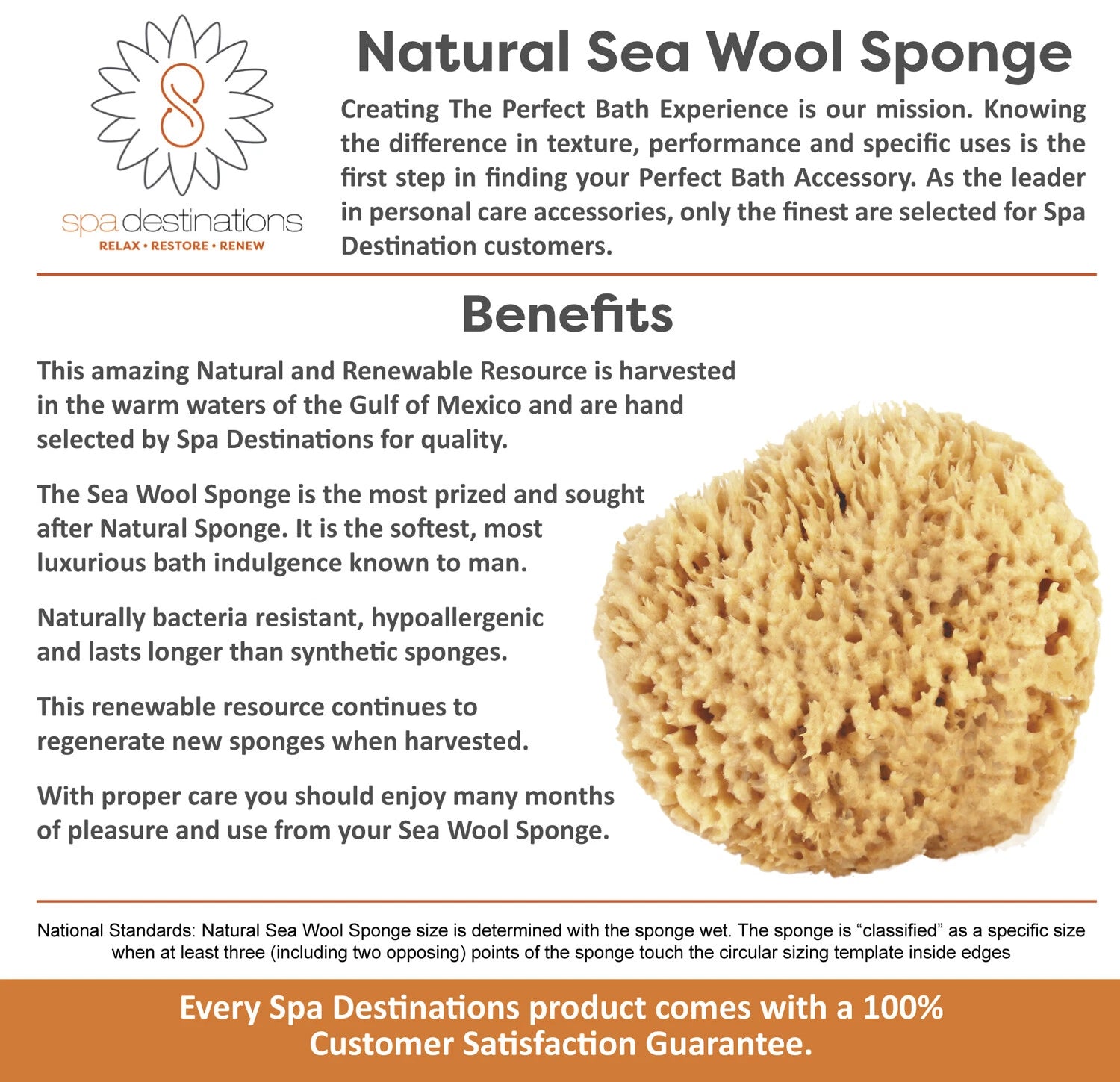 Natural Sea Wool Sponges by Spa Destinations (Choose Size)