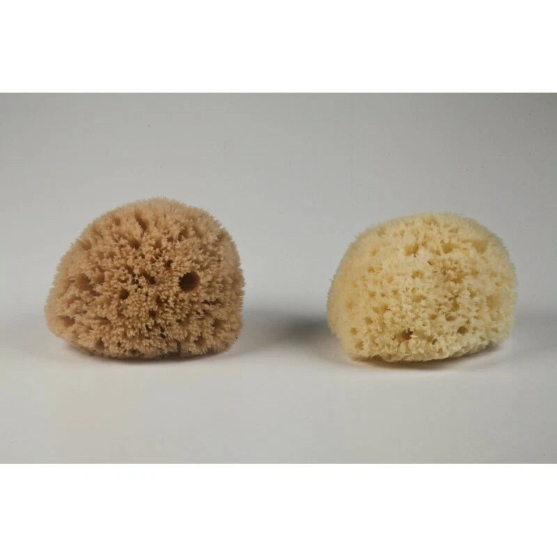 Honeycomb Natural Sea Sponge From Kalymnos - Greece for shower, Processed by Me.