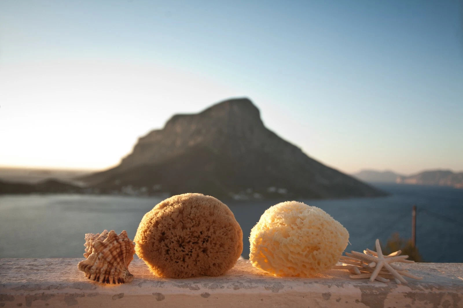 Honeycomb Natural Sea Sponge From Kalymnos - Greece for shower, Processed by Me.