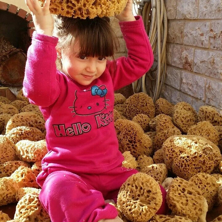 Honeycomb Natural Sea Sponge From Kalymnos - Greece for shower, Processed by Me.