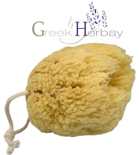 Natural Dried Greek Sea Sponge 5.0"-5.50" inches(12-14cm) Kalymnos Bath Shower|