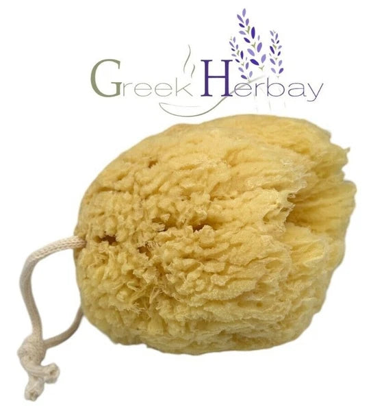Natural Dried Greek Sea Sponge 5.0"-5.50" inches(12-14cm) Kalymnos Bath Shower|