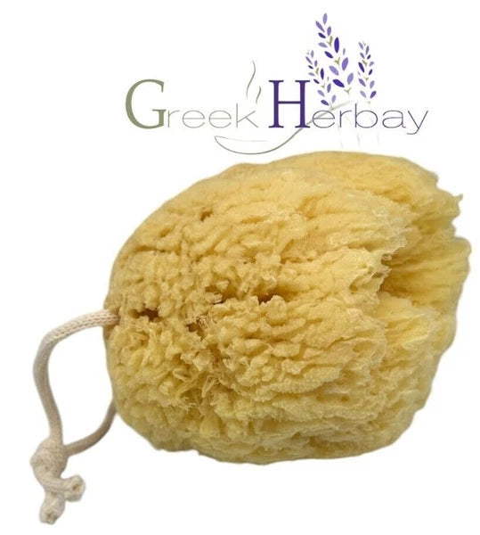 Natural Dried Greek Sea Sponge 5.0"-5.50" inches(12-14cm) Kalymnos Bath Shower|