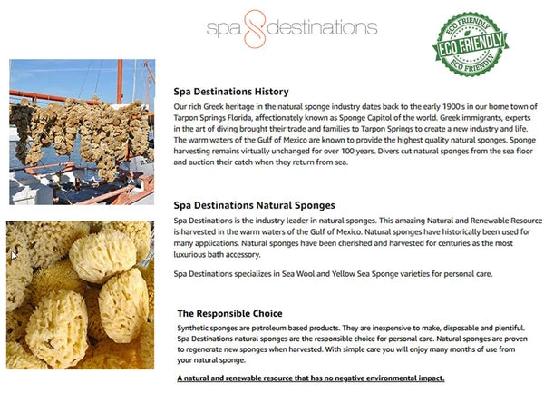 Natural Sea Wool Sponges by Spa Destinations (Choose Size)