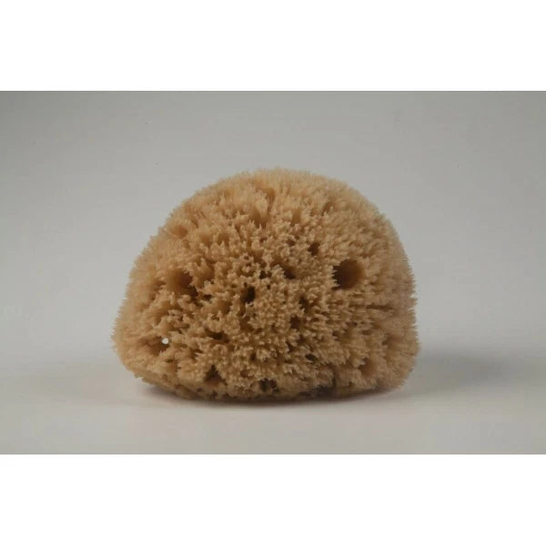 Honeycomb Natural Sea Sponge From Kalymnos - Greece for shower, Processed by Me.