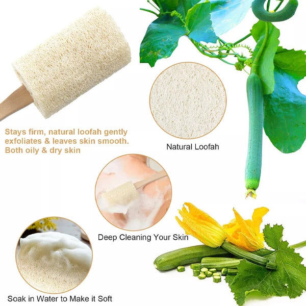 2 Natural Exfoliating Loofah Back Sponge Scrubber Brush with Long Wooden Handle