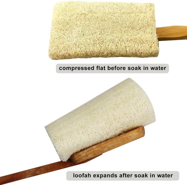 2 Pack Natural Exfoliating Loofah Luffa Loofa Bath Brush On A Stick Shower Spong